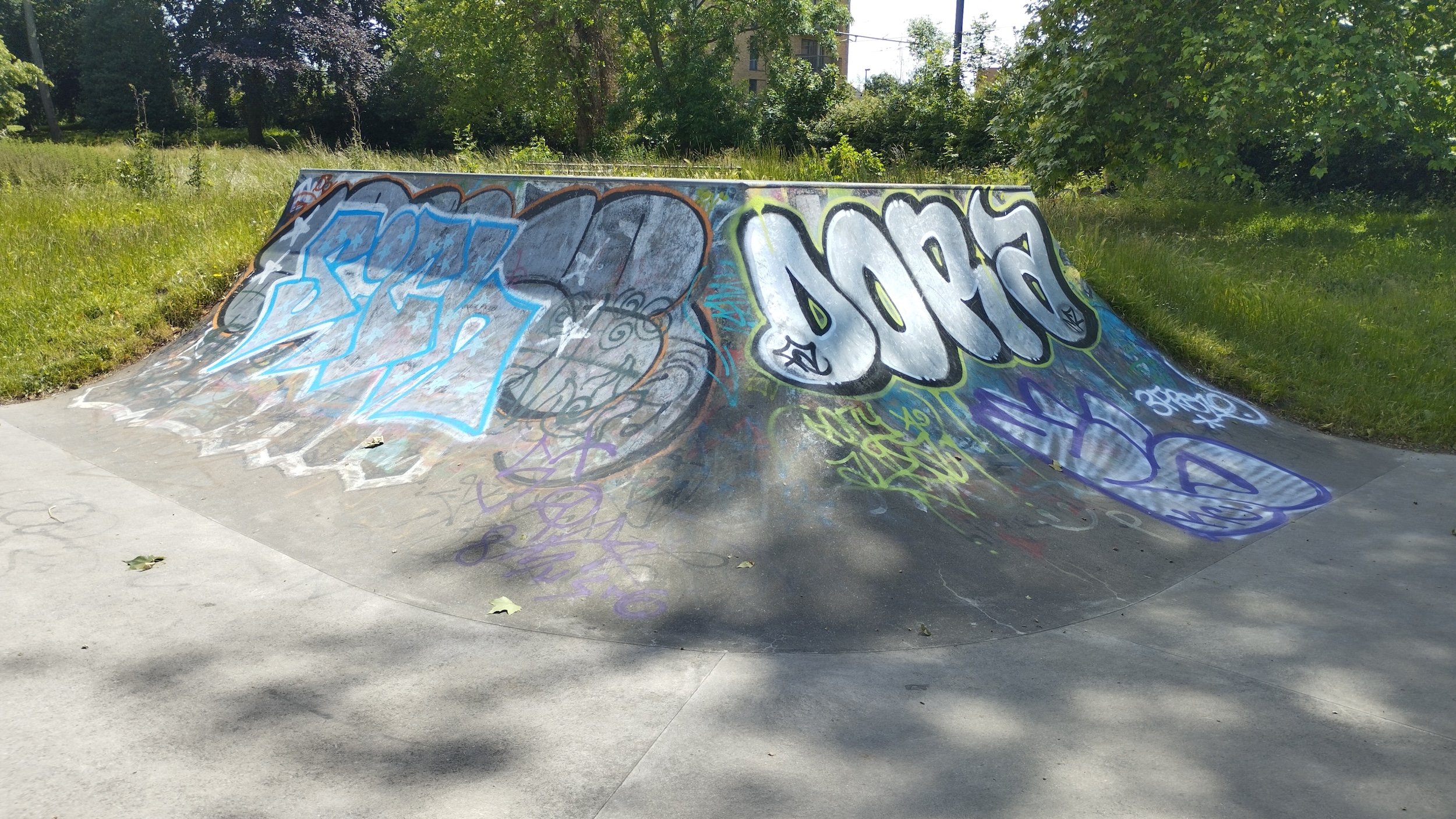 Wandle skatepark